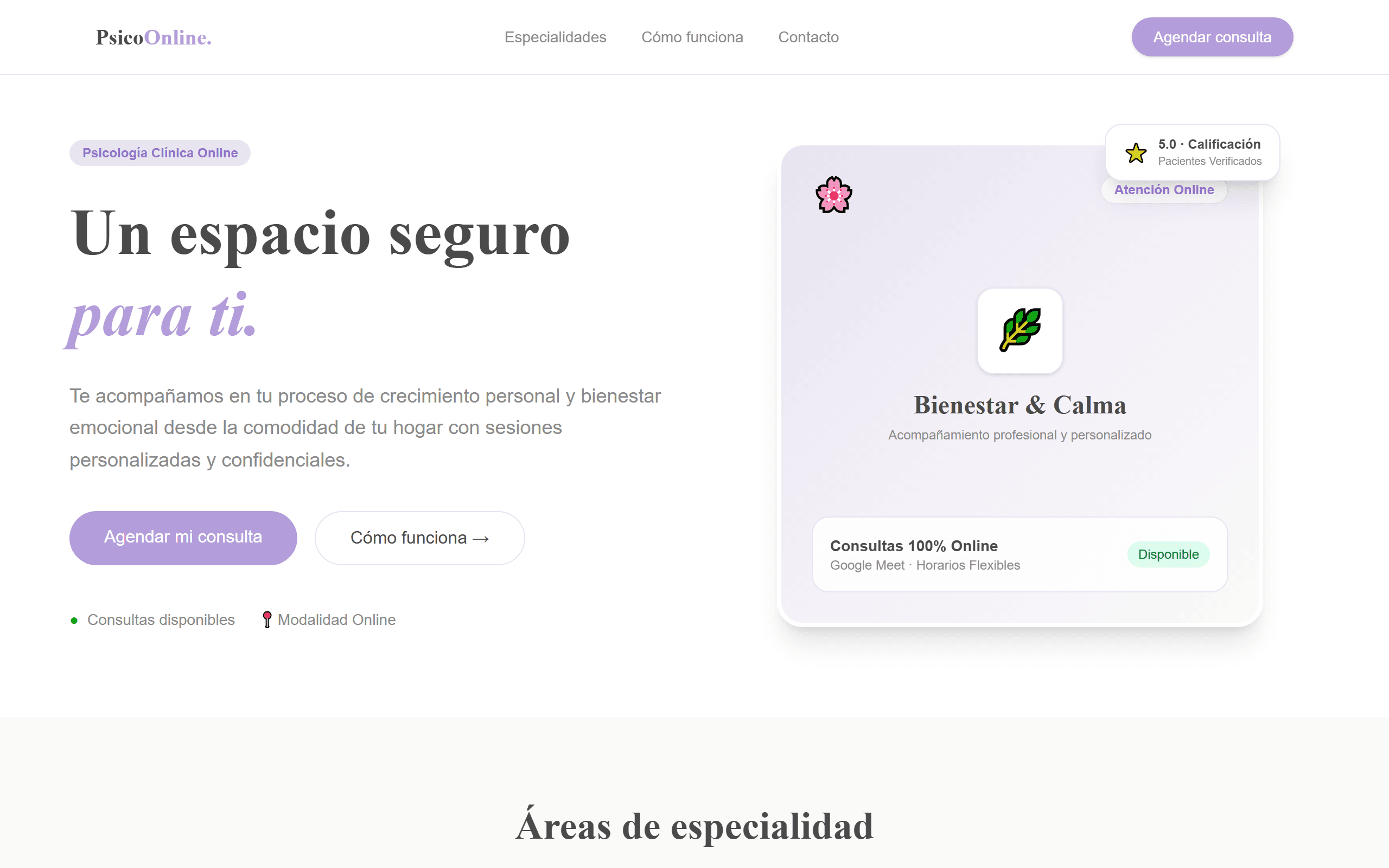 Captura del proyecto PsicoConsulta Online
